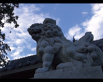 のとと - 中村太一